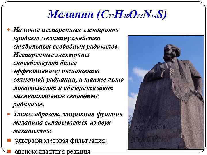 Меланин (С 77 Н 98 О 33 N 14 S) Наличие неспаренных электронов придает