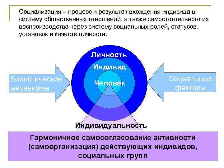 Социализация – процесс и результат вхождения индивида в систему общественных отношений, а также самостоятельного