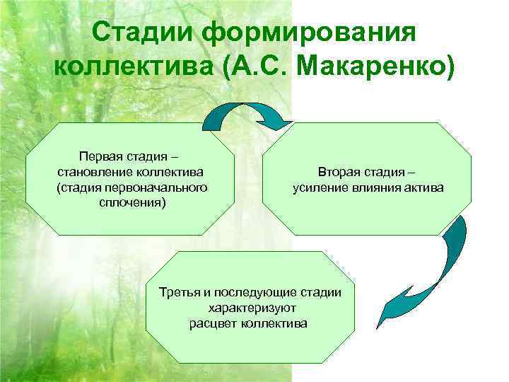 Стадии формирования коллектива (А. С. Макаренко) Первая стадия – становление коллектива (стадия первоначального сплочения)