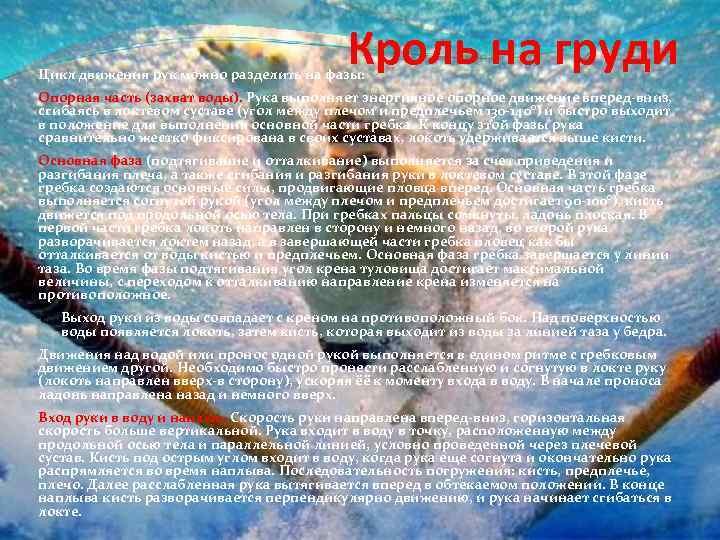 Кроль на груди Цикл движения рук можно разделить на фазы: Опорная часть (захват воды).