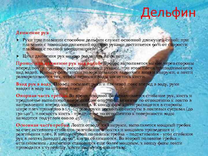 Дельфин Движение рук Руки при плавании способом дельфин служат основной движущей силой: при плавании
