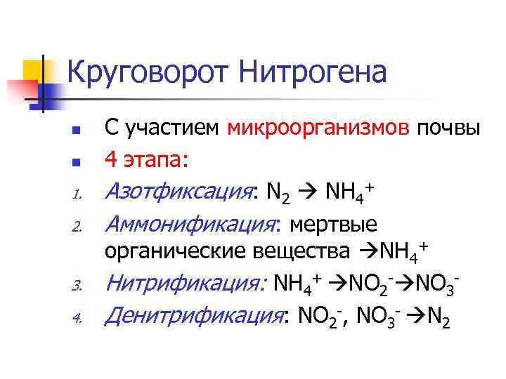 Круговорот Нитрогена n n 1. 2. 3. 4. С участием микроорганизмов почвы 4 этапа: