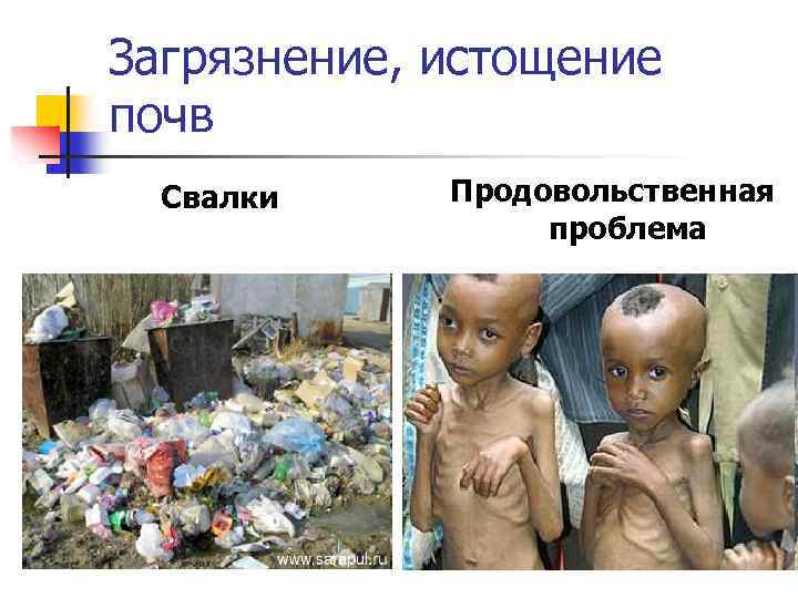 Загрязнение, истощение почв Свалки Продовольственная проблема 