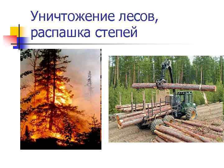 Уничтожение лесов, распашка степей 