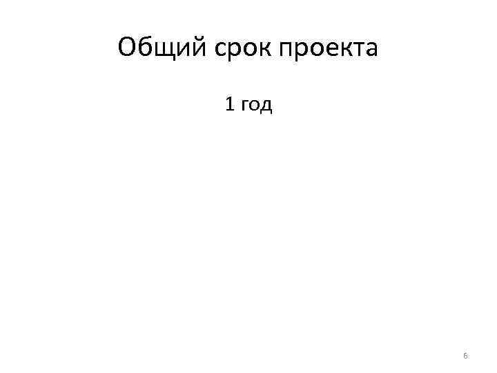 Общий срок проекта 1 год 6 