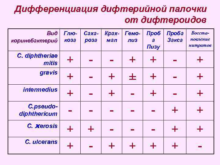  Дифференциация дифтерийной палочки от дифтероидов Вид Глю- Саха- Крах- Гемо- Проба Восста- коринебактерий