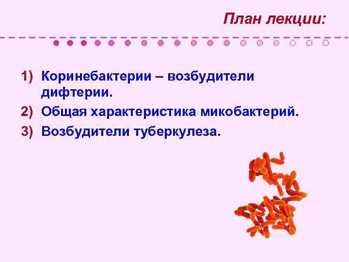  План лекции: 1) Коринебактерии – возбудители дифтерии. 2) Общая характеристика микобактерий. 3) Возбудители