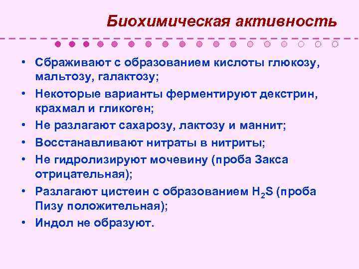  Биохимическая активность • Сбраживают с образованием кислоты глюкозу, мальтозу, галактозу; • Некоторые варианты