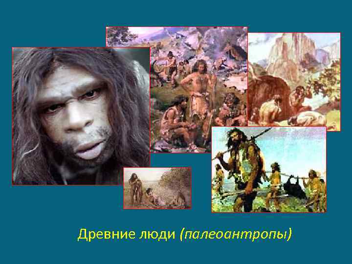 Древние люди (палеоантропы) 