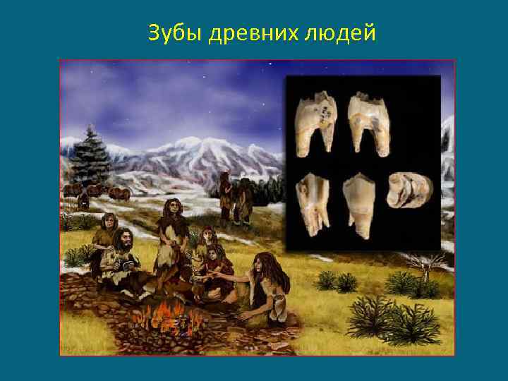 Зубы древних людей 
