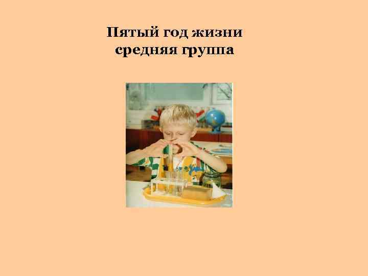 Пятый год жизни средняя группа 