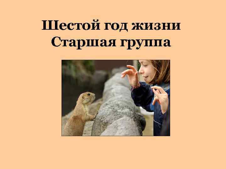 Шестой год жизни Старшая группа 