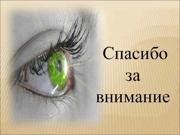 Спасибо за внимание 