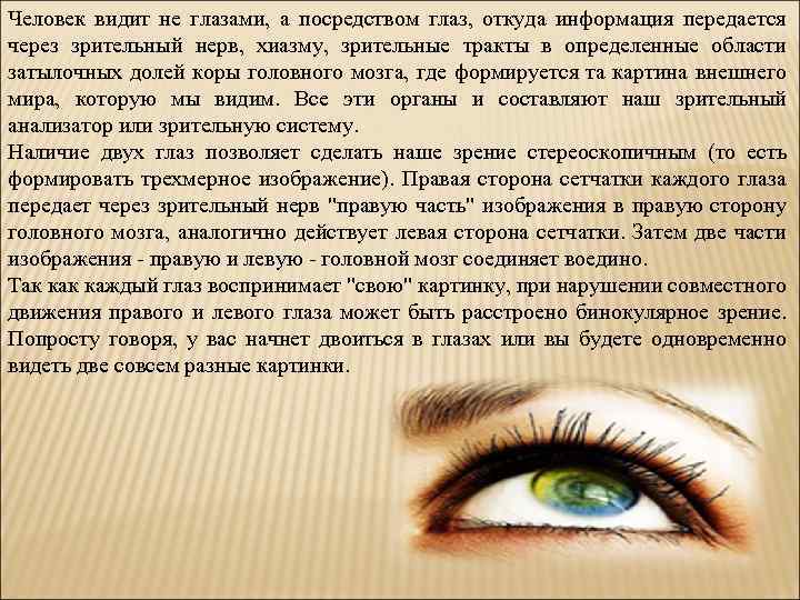 Человек видит не глазами, а посредством глаз, откуда информация передается через зрительный нерв, хиазму,
