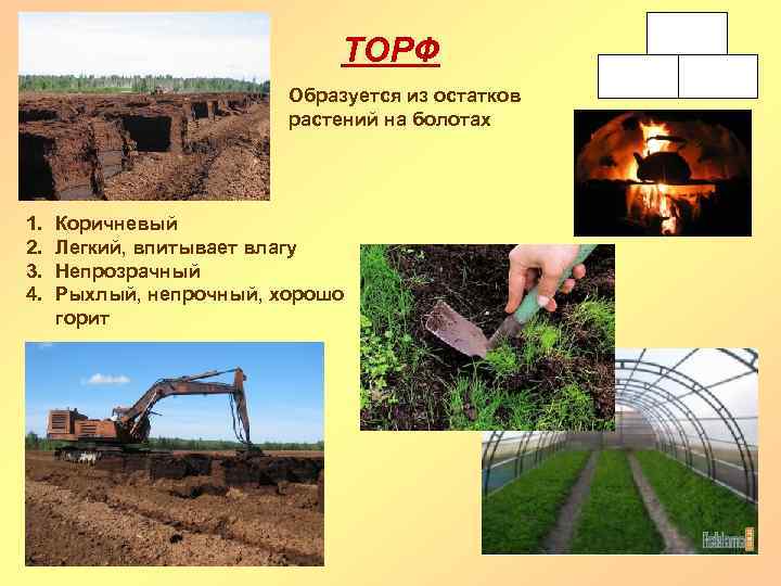ТОРФ Образуется из остатков растений на болотах 1. 2. 3. 4. Коричневый Легкий, впитывает