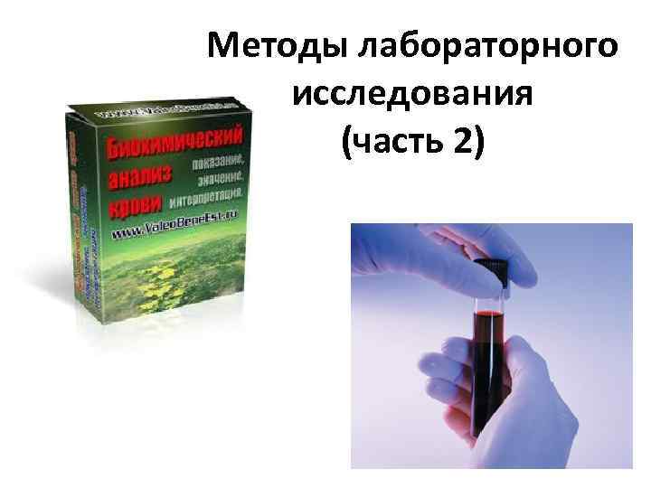 Методы лабораторного исследования (часть 2) 