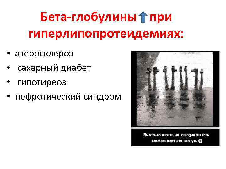 Исследование с 2 с. Бета глобулины. Бета 1 глобулин. Глобулины функции. Повышение бета глобулинов.