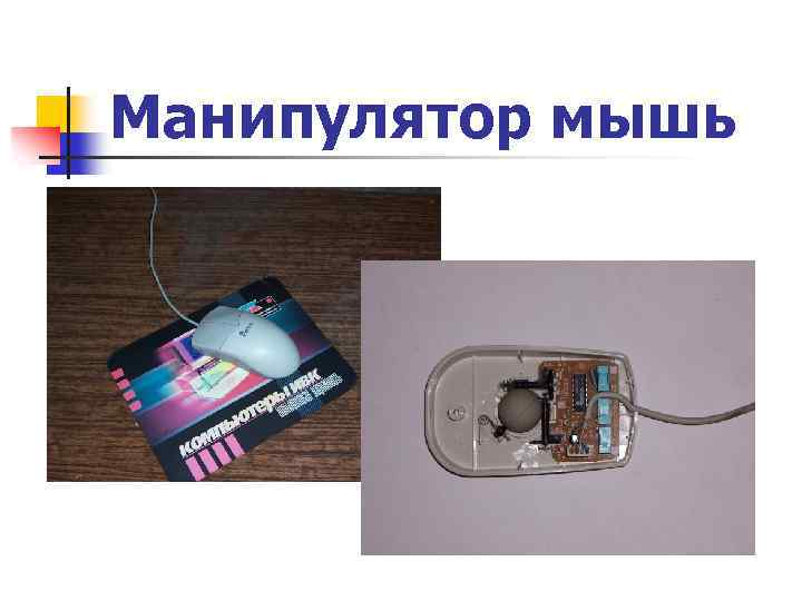 Манипулятор мышь 