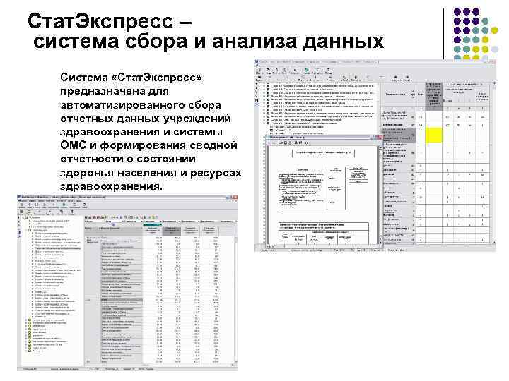 Стат. Экспресс – система сбора и анализа данных Система «Стат. Экспресс» предназначена для автоматизированного
