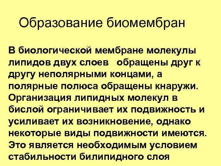 Образование биомембран В биологической мембране молекулы липидов двух слоев обращены друг к другу неполярными