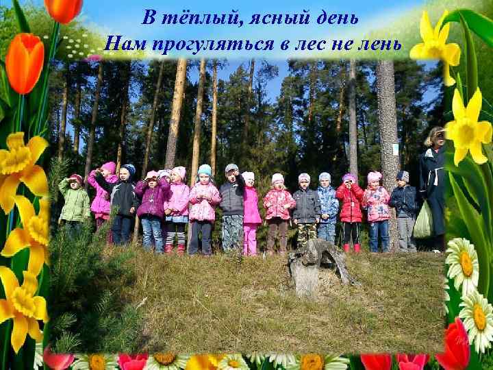В тёплый, ясный день Нам прогуляться в лес не лень 