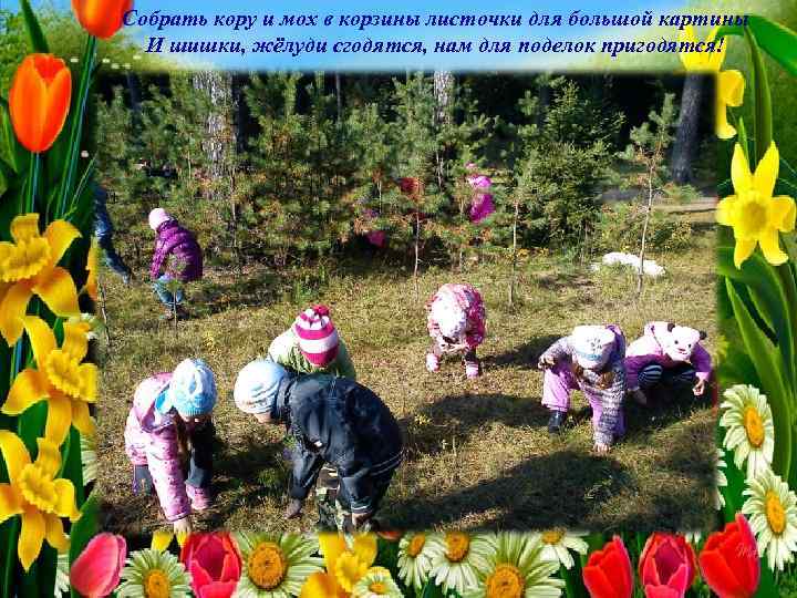 Собрать кору и мох в корзины листочки для большой картины И шишки, жёлуди сгодятся,