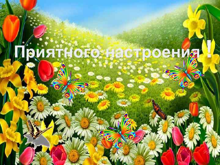 Приятного настроения ! 
