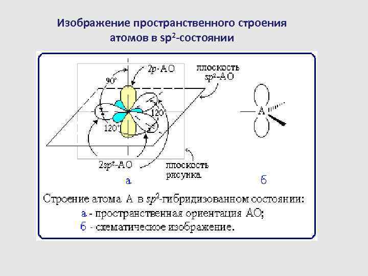 Изображение пространственного строения атомов в sp 2 -состоянии 