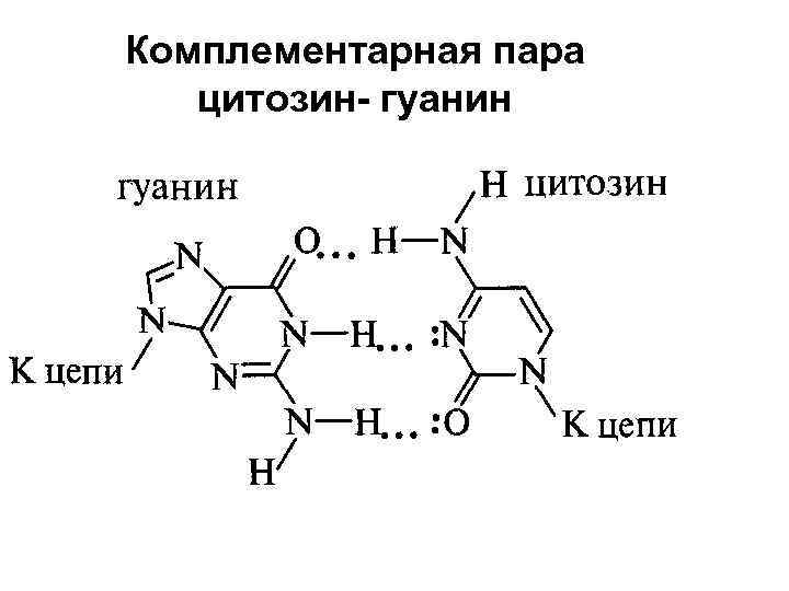Комплементарная пара цитозин- гуанин 