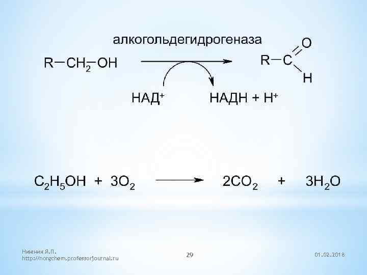Нижник Я. П. http: //norgchem. professorjournal. ru 29 01. 02. 2018 