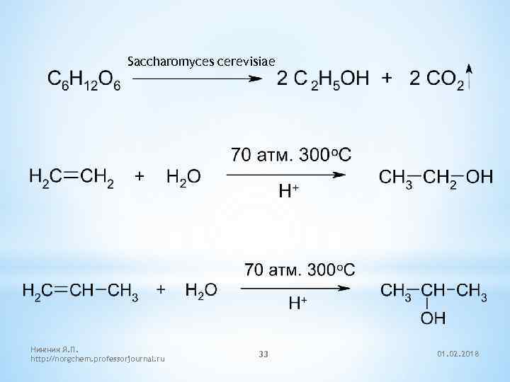 Saccharomyces cerevisiae Нижник Я. П. http: //norgchem. professorjournal. ru 33 01. 02. 2018 