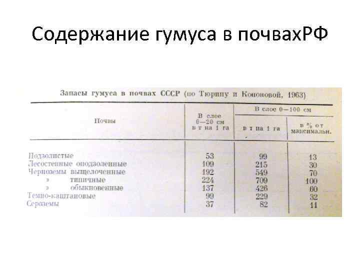 Содержание гумуса в почвах. РФ 