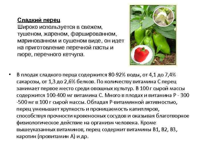 Сладкий перец Широко используется в свежем, тушеном, жареном, фаршированном, маринованном и сушеном виде, он