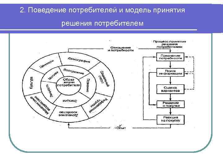 2. Поведение потребителей и модель принятия решения потребителем 