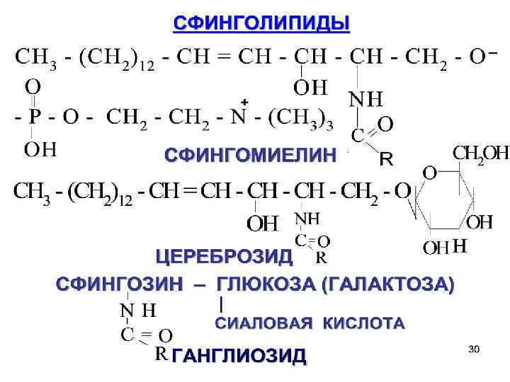 Структура глицерофосфатов и сфинголипидов. Сфинголипиды церамиды сфингомиелины. Сфинголипиды биохимия функции. Строение сфинголипидов биохимия. Сфинголипиды (сфингомиелины, цереброзиды, ганглиозиды)..