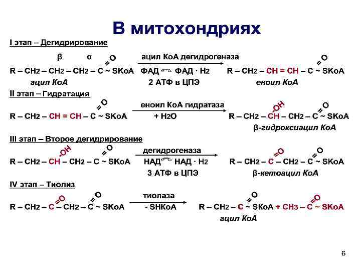 Гидратация 