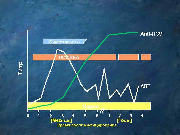 Anti-HCV Симптомы +/- Титр HCV RNA AЛT Норма 0 1 4 2 3 [Месяцы]