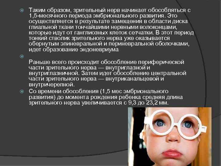  Таким образом, зрительный нерв начинает обособляться с 1, 5 -месячного периода эмбрионального развития.