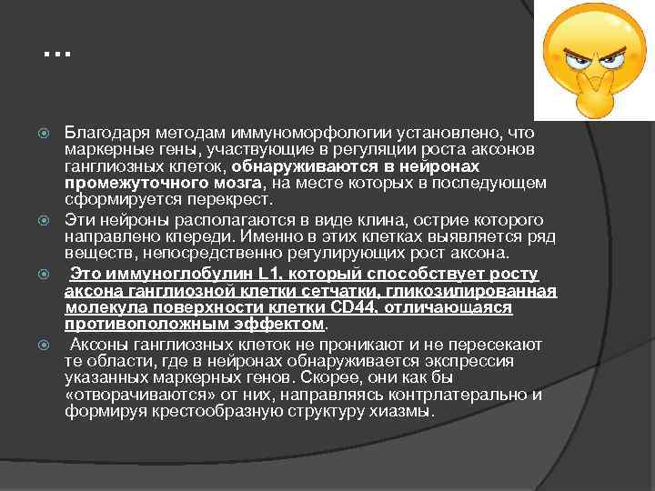 … Благодаря методам иммуноморфологии установлено, что маркерные гены, участвующие в регуляции роста аксонов ганглиозных