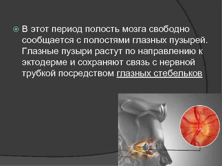  В этот период полость мозга свободно сообщается с полостями глазных пузырей. Глазные пузыри