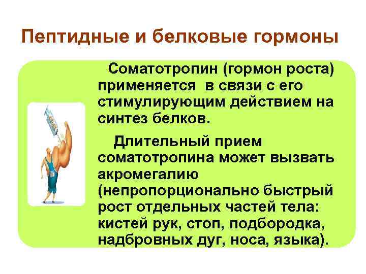 Пептидные и белковые гормоны Соматотропин (гормон роста) применяется в связи с его стимулирующим действием