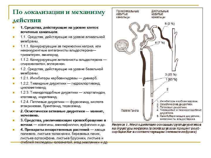 По локализации и механизму действия. n n n n 1. Средства, действующие на уровне