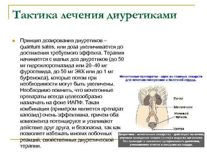 Тактика лечения диуретиками n Принцип дозирования диуретиков – quantum sates, или доза увеличивается до