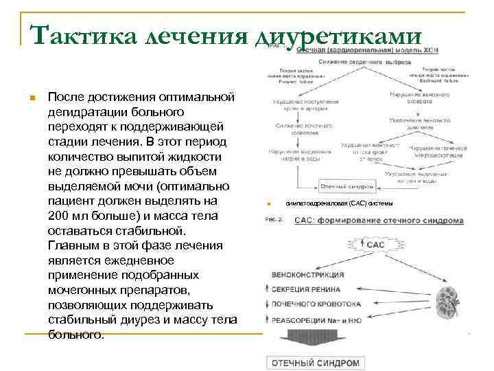 Тактика лечения диуретиками n После достижения оптимальной дегидратации больного переходят к поддерживающей стадии лечения.