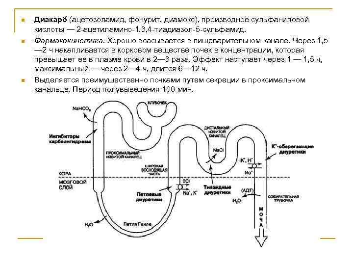 n n n Диакарб (ацетозоламид, фонурит, диамокс), производное сульфаниловой кислоты — 2 ацетиламино 1,