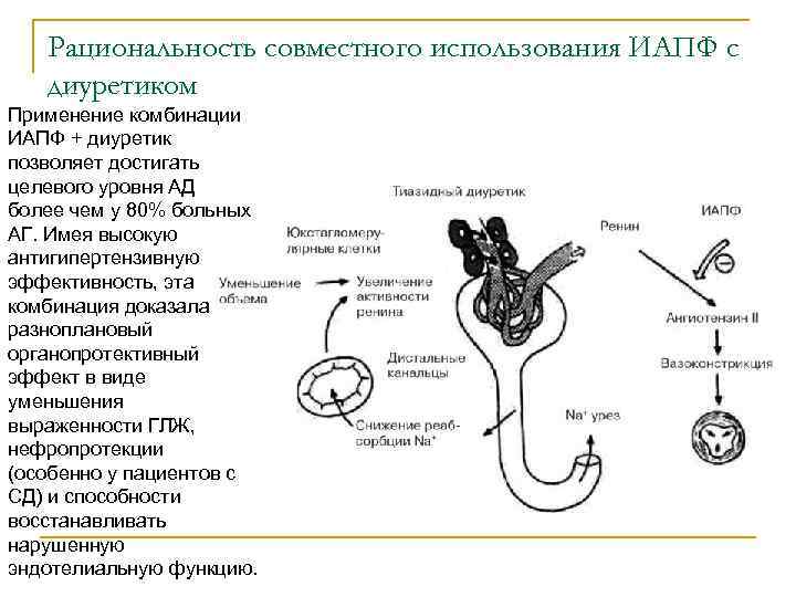 Рациональность совместного использования ИАПФ с диуретиком Применение комбинации ИАПФ + диуретик позволяет достигать целевого