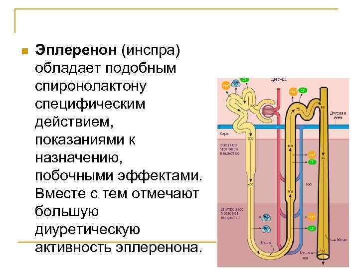 n Эплеренон (инспра) обладает подобным спиронолактону специфическим действием, показаниями к назначению, побочными эффектами. Вместе