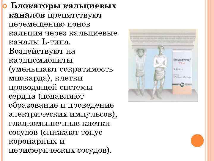  Блокаторы кальциевых каналов препятствуют перемещению ионов кальция через кальциевые каналы L типа. Воздействуют