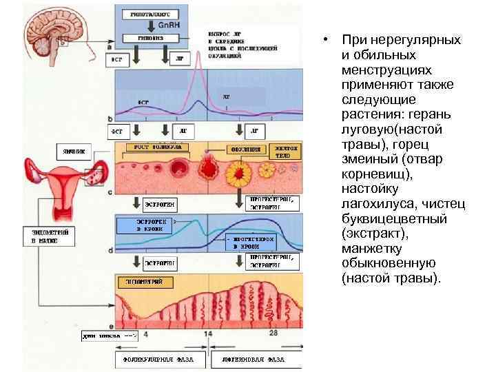 Снижение гормонального фона приводит к тест