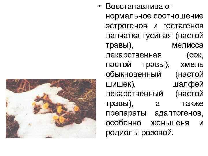  • Восстанавливают нормальное соотношение эстрогенов и гестагенов лапчатка гусиная (настой травы), мелисса лекарственная